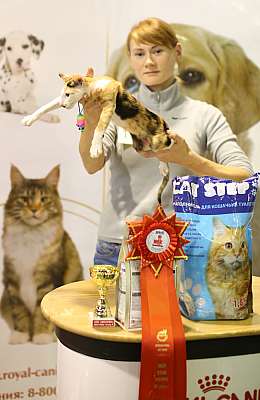 �������� ����� 18-19 ������� 2014 WCF-����� 9-206-169A4127 copy.jpg